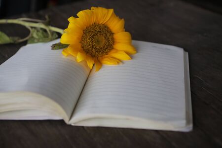 Blank notebook with flower and pen on wooden table. Blank page on open book page for copy space of text or design.の写真素材