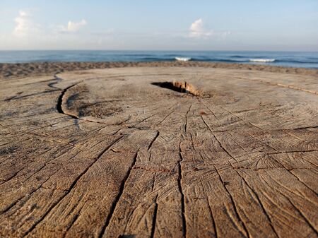 Wood rustic table background with blue sky over the sea. Natural old wood texture backgrounds. Copy space for your text or design.の写真素材