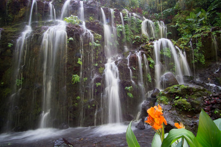 Waterfall in the forest. Bali large natural waterfalls with smooth water on green forest...