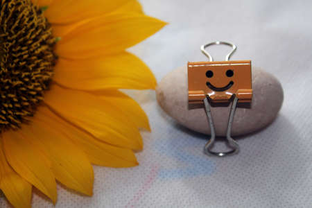 Paper clip and sunflower on a white background. Selective focus.の写真素材