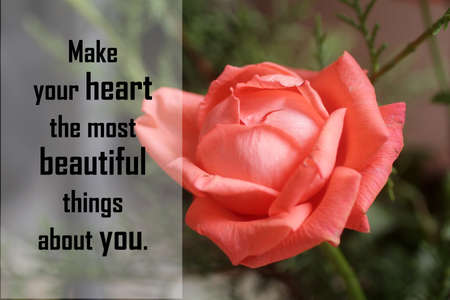 Positive inspirational motivational words - Make your heart the most beautiful things about you. With beautiful peach rose flower on green background. Self love and confidence concept.の写真素材