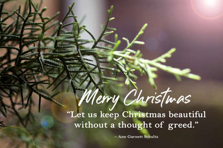 Christmas inspirational quote - Let us keep Christmas beautiful without a thought of greed. Christmas card with green spruce leaf and light on the background. Merry Christmas.の写真素材