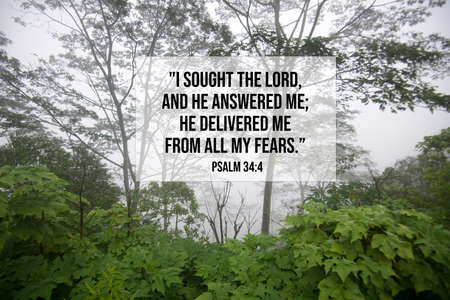 Bible verse inspirational quote - I sought the lord, and He answered me, He delivered me from all my fears. Psalm 34:4 With green forest background on a misty morning.の写真素材
