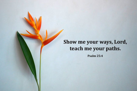 Bible verse quote - Show me your ways, Lord, teach me your paths. Psalm 25:4 On white wall...