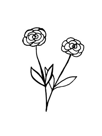 image of flowers and leaves on a white background. Decoration for cards and invitations.の写真素材