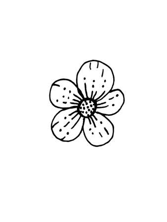 image of flowers and leaves on a white background. Decoration for cards and invitations.の写真素材