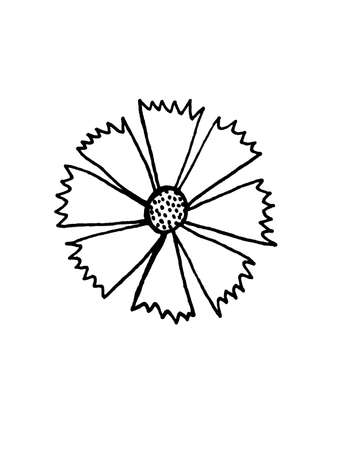 image of flowers and leaves on a white background. Decoration for cards and invitations.の写真素材