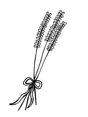 image of flowers and leaves on a white background. Decoration for cards and invitations.の写真素材