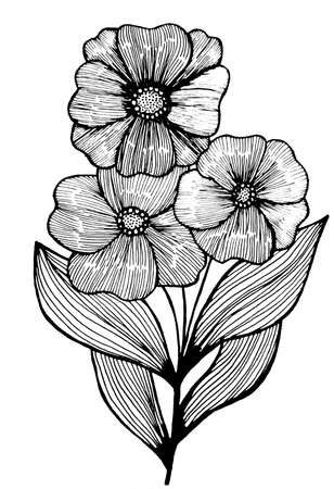 image of flowers and leaves on a white background. Decoration for cards and invitations.の写真素材