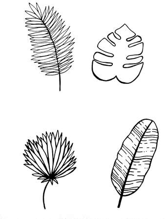 image of flowers and leaves on a white background. Decoration for cards and invitations.の写真素材