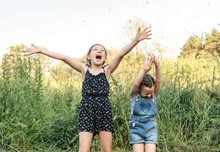 two little Caucasian blonde girls hiding in the tall green grass in a children's secret shelter looking at a smartphone. children's gadgets and electronic gamesの写真素材