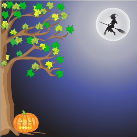 Halloween at nightのイラスト素材