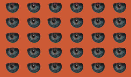 Pattern with a human pupil on a red background. Patterns and prints.の写真素材