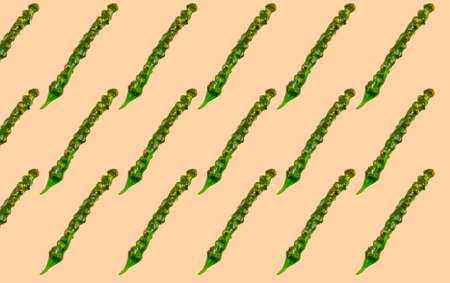 Pattern with a green Churchkhela Dessert on a beige background. Prints, background.の写真素材