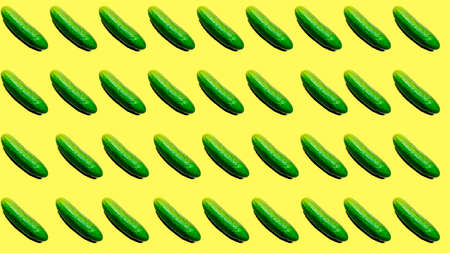 A pattern with a whole green cucumber with a clear shadow on a yellow background. Prints, template.の写真素材