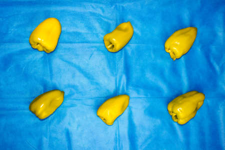 Green peeled sweet peppers on a blue textured background. The view from the top.の写真素材