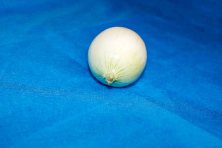 One peeled white onion on a blue background. Selective focus.