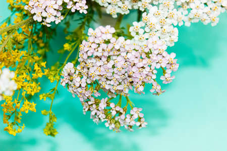 A bouquet of yellow and white wildflowers close-up on a turquoise background. Selective focus.