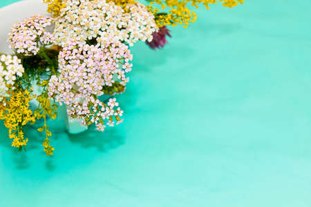 Wildflowers blooms on a turquoise background with an empty space for text. Top view, selective shot.