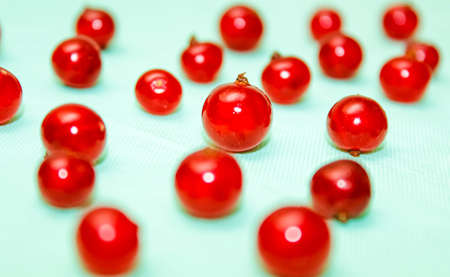 Red currant on a blue background, blurred frame at the edges. Template made of fresh berries....