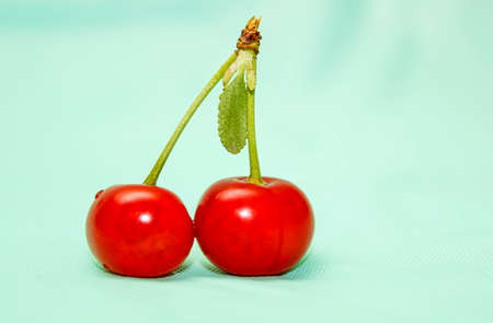 Two cherry berries on a blue background close-up. Selective focus, macro.の写真素材