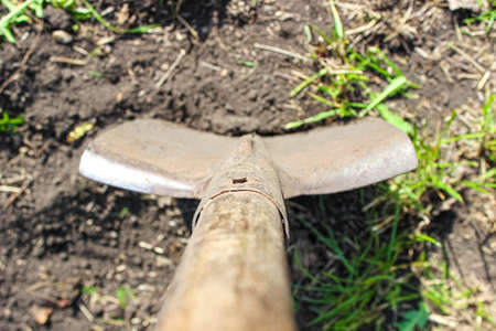 Digging up the ground with a shovel in the garden for planting, top view, selective focus. Agricultural work.の写真素材