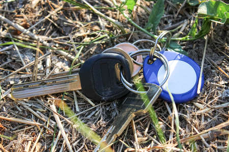 A lost Set of keys to the apartment is lying in the grass. Distraction. Close up.