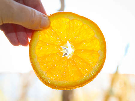 A cut Circle of orange, which is held by the hand at the lumen. transparent fruit.の写真素材