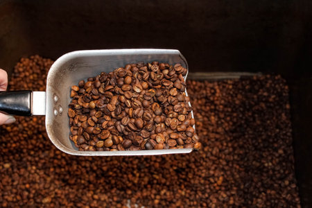 Roasted coffee beans with a metal scoop in them. Close-up, copy space.の写真素材