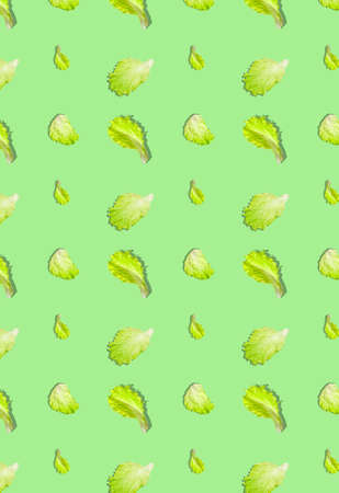 A pattern with green lettuce leaves on a light green background. Grocery background. Prints, patterns.の写真素材