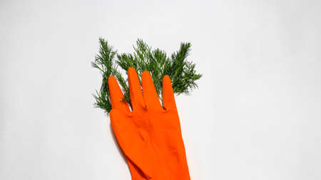 A household glove from which dill greens grow. The concept of gardening, crop cultivation. Top view.