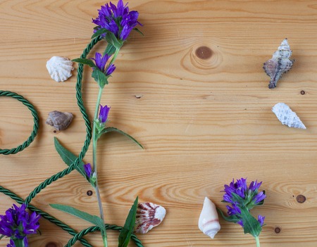 Sea theme. Seashells and flowers on the tableの写真素材