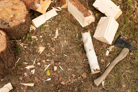 Axe and stumps on the ground. Background with copy spaceの写真素材