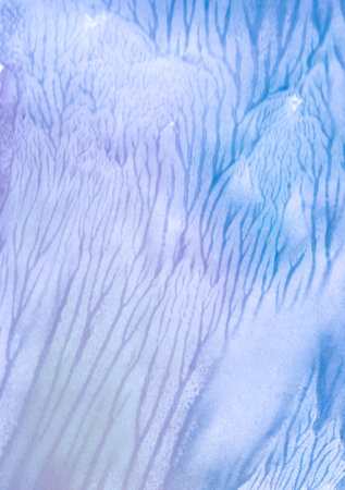 Abstract watercolor background with blue and white tie dye pattern texture. Coral reefs and algae painted in watercolor on paper.の写真素材