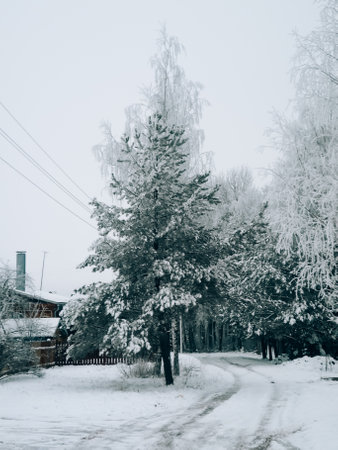 Winter landscape with snow-covered trees in the village. Winter background.の写真素材