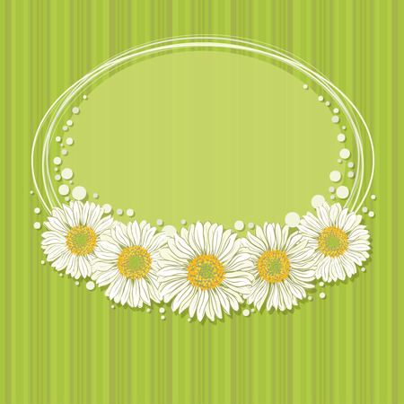 Vector template of birthday card with camomiles, eps10.のイラスト素材