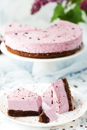 Blueberry cheesecake with chocolate biscuit on a lightの写真素材
