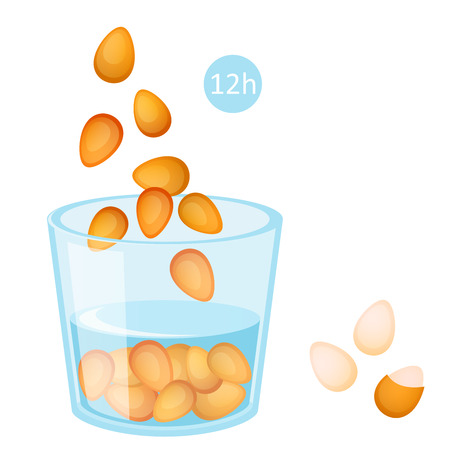 Soaked almonds. Instructions on how to prepare nuts before eating. A glass of water with almonds filled with waterのイラスト素材