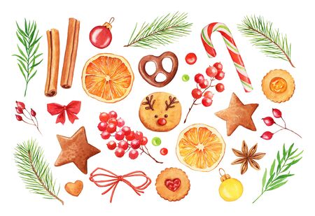 Watercolor Christmas set: fir tree branches, cookies and berries. New year collectionの写真素材