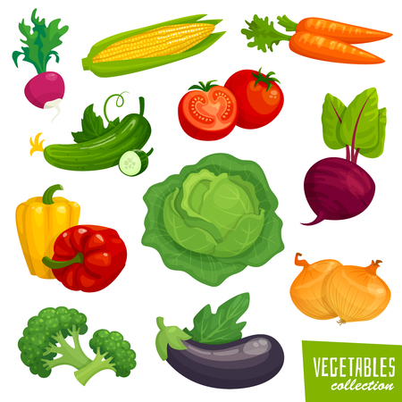 Fresh healthy vegetables collection. Cartoon  illustrationのイラスト素材