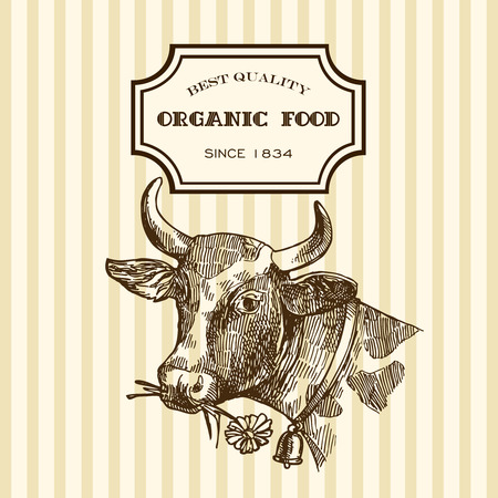 Beautiful hand drawn sketch illustration milk product for your design. Organic milk.のイラスト素材