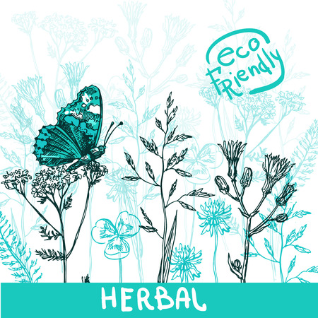 Beautiful hand drawn vector illustration sketching of wildflowers.Eco friendly drawing. Use for postcards, print for t-shirts, packaging of organic cosmeticsのイラスト素材