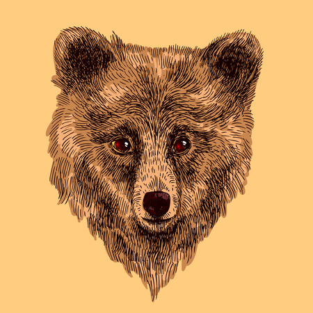 Beautiful hand drawn vector illustration sketching of bear. Sketch style drawing. Use for postcards, print for t-shirts, posters.のイラスト素材