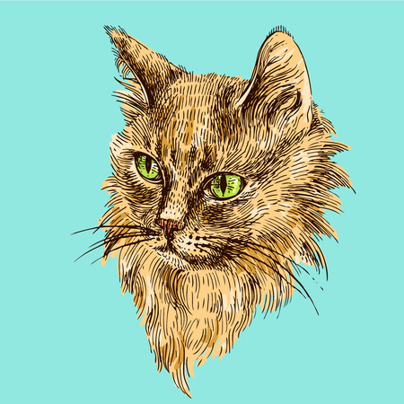 Vector hand drawn illustration head of cat. Boho style poster. Ink sketch drawing of animal.のイラスト素材