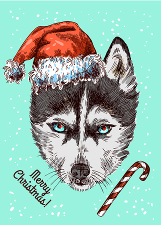 Illustration Christmas husky. Drawing by hand. Sketch style.のイラスト素材