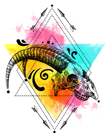 Vector sketch illustration  animal skull. Drawing by hand. Boho style. Use for posters, postcards, print for t-shirt, tattoo.のイラスト素材