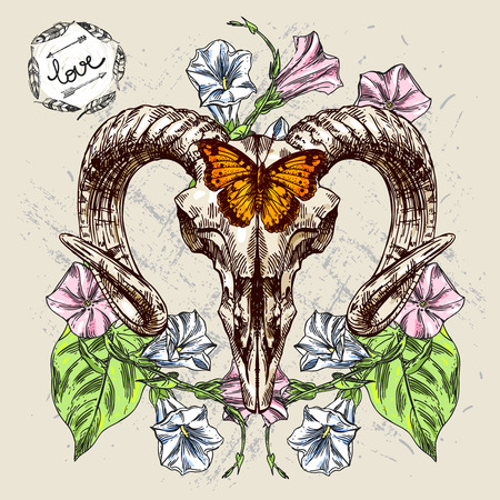 Vector sketch illustration  animal skull. Drawing by hand. Boho style. Use for posters, postcards, print for t-shirt, tattoo.のイラスト素材