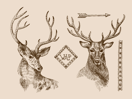 Hand drawn vector illustration sketch of deer.  Boho style. Use for scrapbook, tissue, textile, cloth, fabric, webのイラスト素材