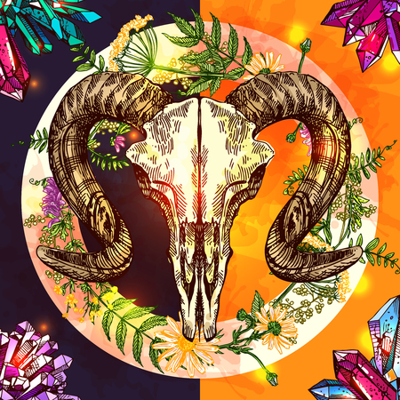 Vector sketch illustration  animal skull. Drawing by hand. Boho style. Use for posters, postcards, print for t-shirt, tattoo.のイラスト素材