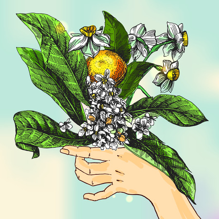 floral sketch vector illustrationのイラスト素材